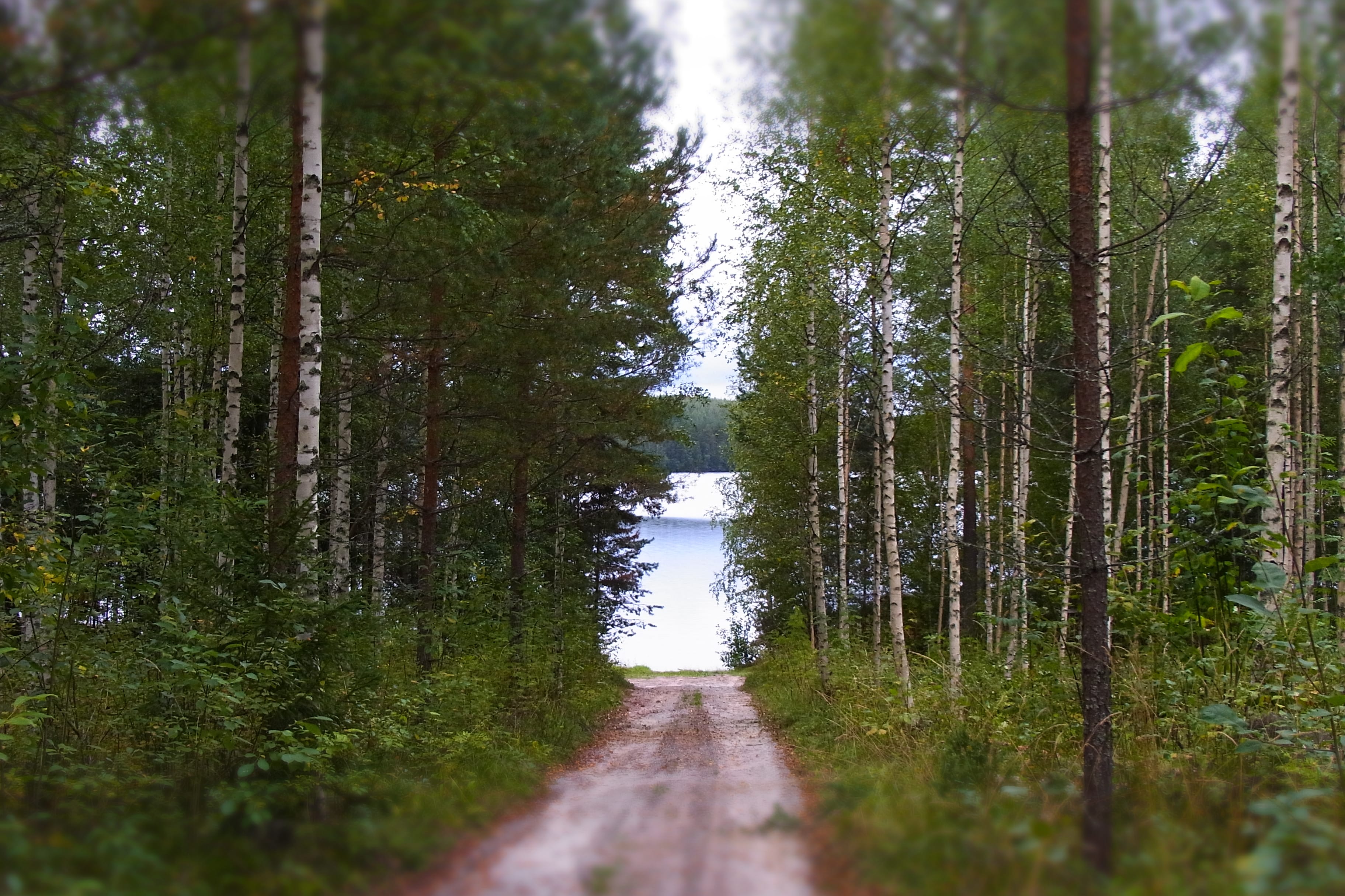 KESLAのイメージ画像