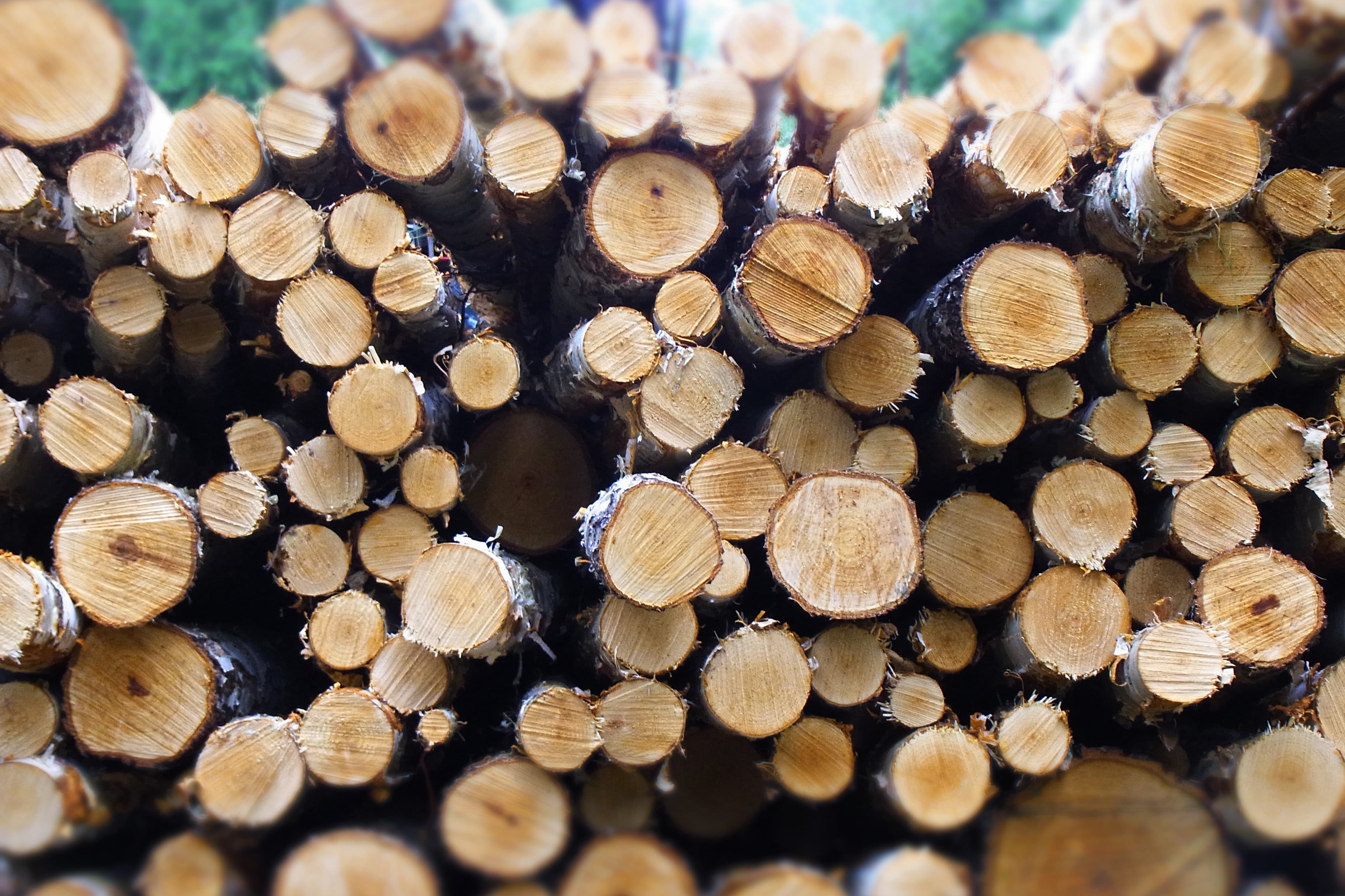 KESLAのイメージ画像